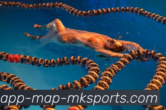 MK体育APP服务体系